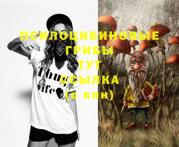 дурь Алексин