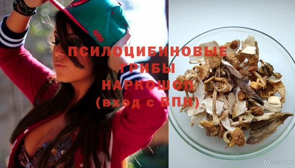 дурь Алексин