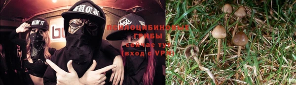 каннабис Алзамай