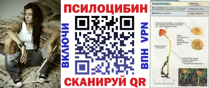 дарк нет телеграм  Старая Купавна  Галлюциногенные грибы GOLDEN TEACHER 