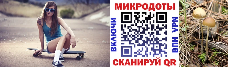 Галлюциногенные грибы Psilocybine cubensis Старая Купавна