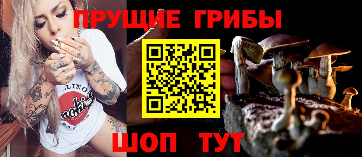 Старая Купавна  продажа наркотиков  Вход с VPN  Псилоцибиновые грибы Psilocybine cubensis 
